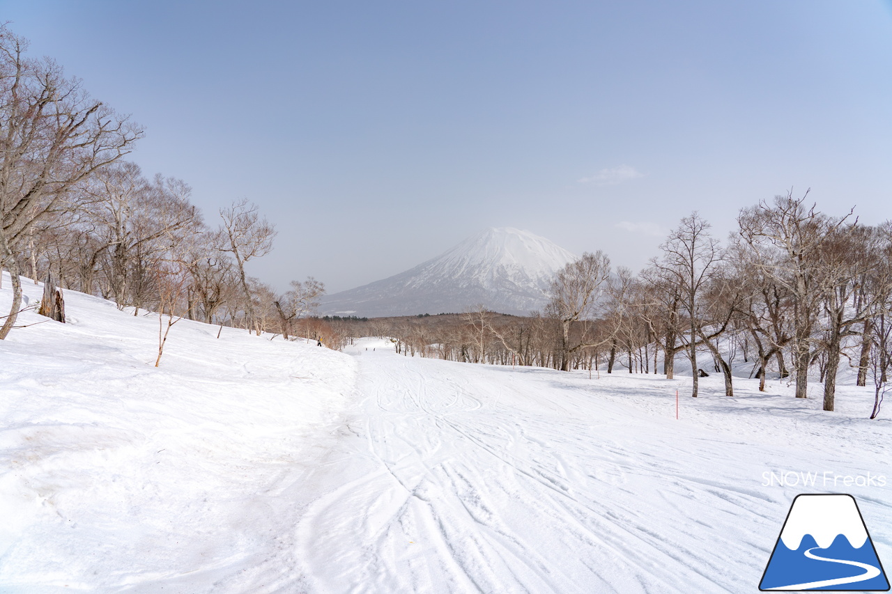 ニセコビレッジ ＆ ニセコHANAZONOリゾート ＆ ニセコ東急 グラン・ヒラフ｜現在も全エリアで山頂から山麓まで大部分滑走可能！とにかく広い世界のニセコ(^^)v